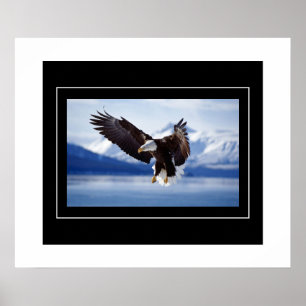 Poster Poster-Aigle