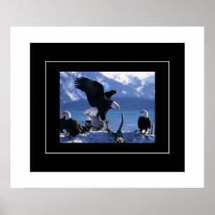 Poster Poster-Aigles