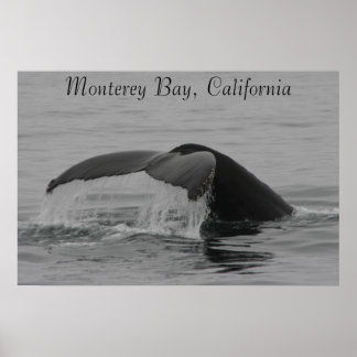 Poster Poster, Baleine Fluke, Monterey