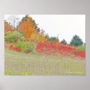 POSTER POSTER/CANVAS GLOSS/PHOTOG / "CARPET ROUGE"