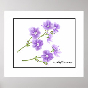 Poster Poster-Fleur sauvage violet