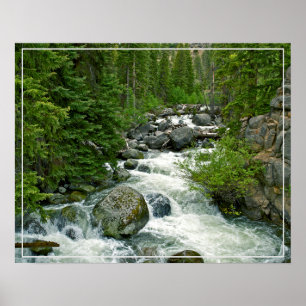 Poster Poster-Forest River