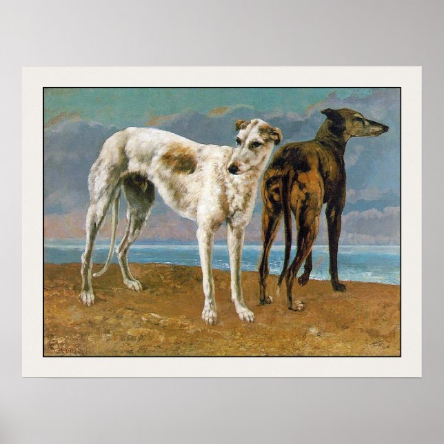 Poster Poster/Impression Greyhound : Deux Greyhounds (Devant)
