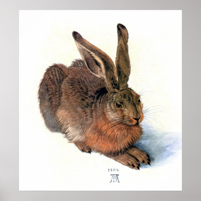 Poster Poster/Impression : Le lapin (Devant)