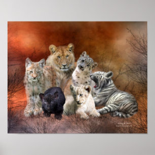 Poster Poster/Imprimer D'Art Jeune Et Sauvage