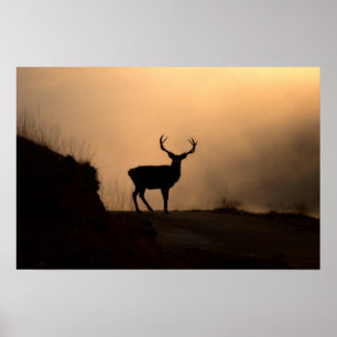 Poster Poster/Imprimer de la ceinture rouge solitaire