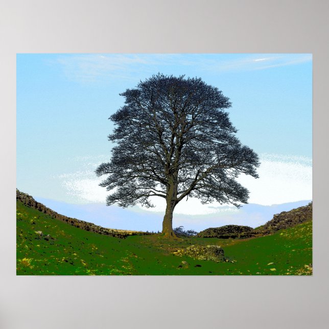 Poster Poster/imprimer Sycamore Gap (Devant)
