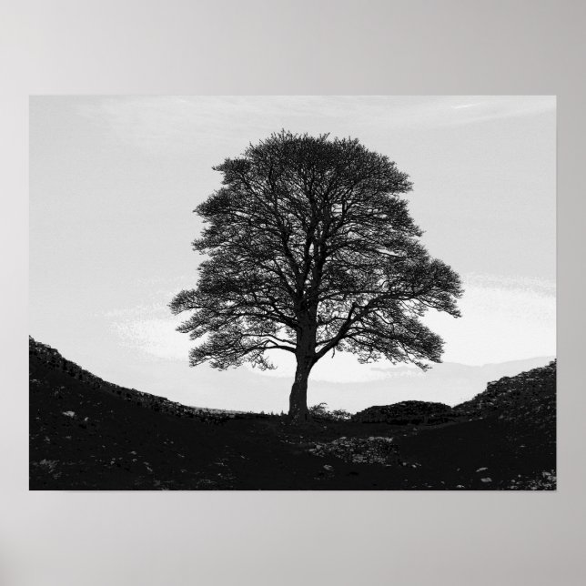 Poster Poster/imprimer Sycamore Gap (Devant)