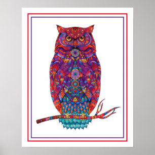 Poster Poster-Owl 16" x 20"