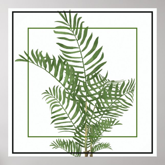 Poster Poster-Palm 24" x 24" (Devant)