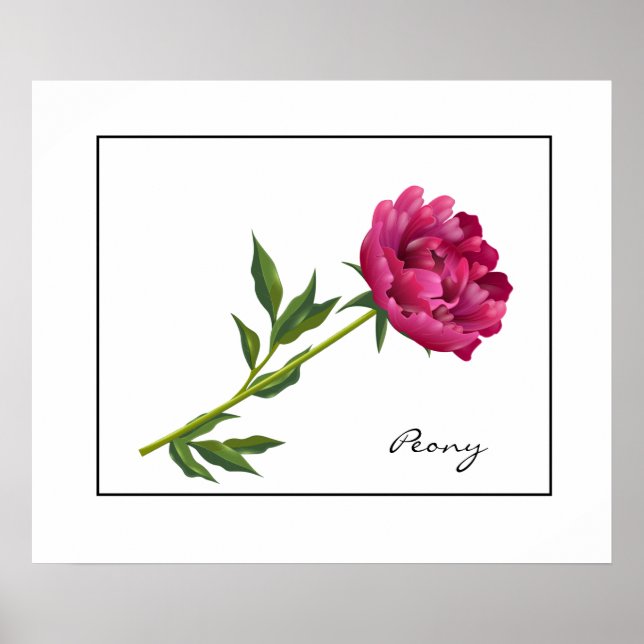Poster Poster-Peony (Devant)