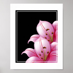 Poster Poster-Pink Lillie