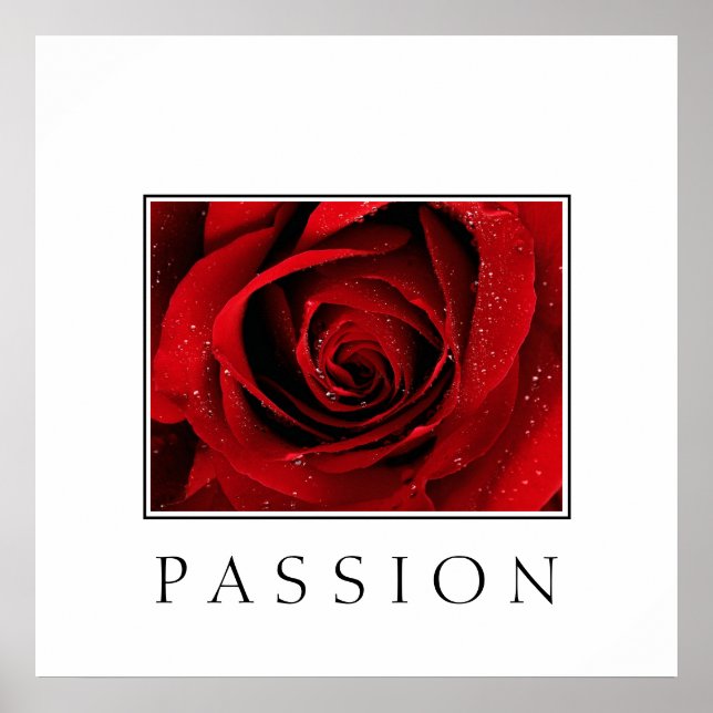 Poster Poster-Rouge Rose-Passion (Devant)