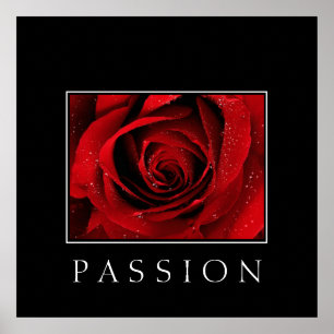 Poster Poster-Rouge Rose-Passion