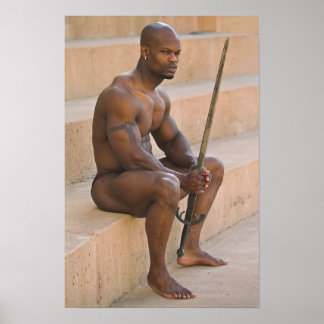 Poster Poster, Ulysse Entre Les Batailles