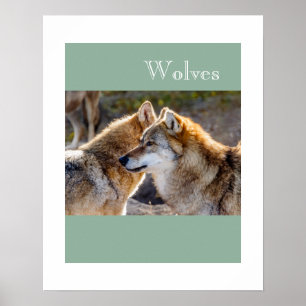 Poster Poster-Wolves