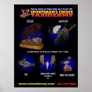 POSTER POSTRE TAXIDERMY CHOICE DU SPORTIF
