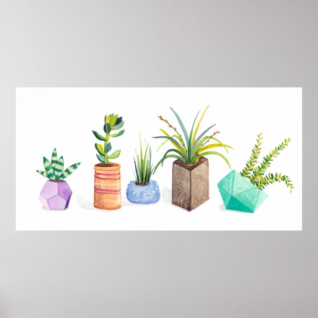 Poster Pot de succulents (Devant)