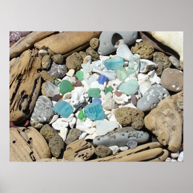 Poster Poteaux en verre marin Plage Sea Shells Fossils Pl (Devant)