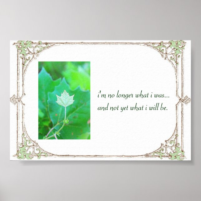 Poster Potentiel (Devant)