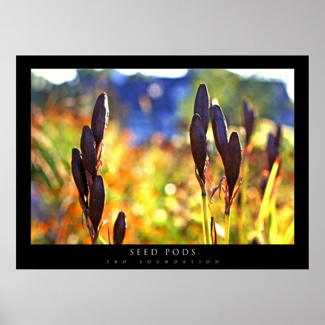 Poster Pots de semences (Devant)