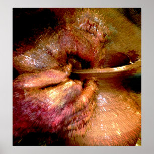 Poster Potter's Hands #2