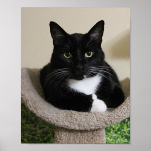 Poster Pouce vers le haut