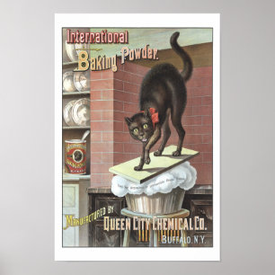 Poster Poudre de cuisson internationale, 1885. Photo vint