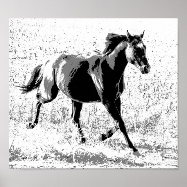 Poster Poulain yearling noir (Devant)