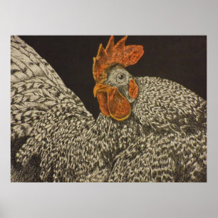 Poster poulet dominicain