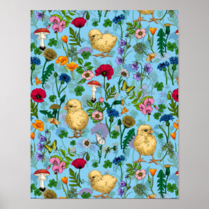 Poster Poulets et fleurs sauvages sur le bleu bébé