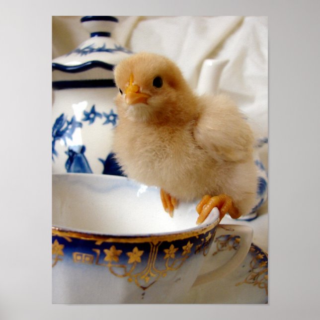 Poster Poulette au thé (Devant)