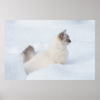 Poster Poupée dans l'affiche de neige