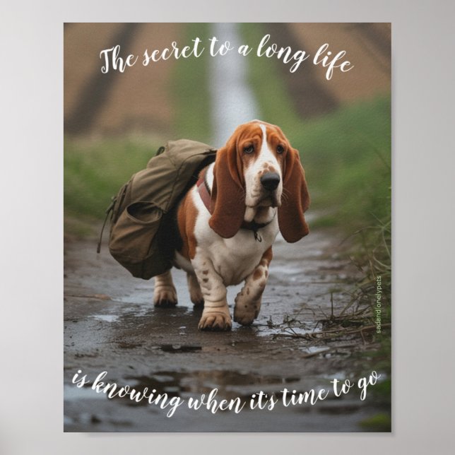 Poster pour animaux de compagnie triste et solitai (Devant)