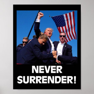 Poster Pour le président Trump3