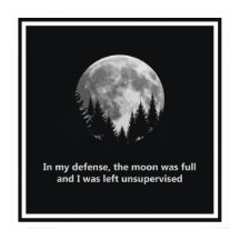 Pour ma défense, la lune était pleine