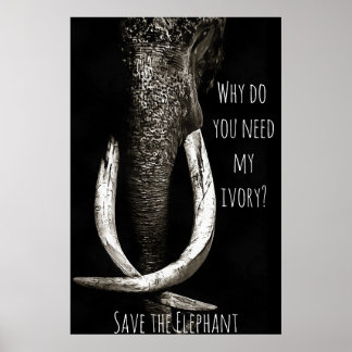 Poster Pourquoi avez-vous besoin de mon éléphant noir et 