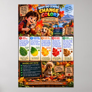Poster Pourquoi les feuilles changent de couleur Infograp