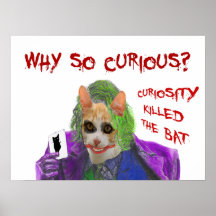 Pourquoi si curieux ? - Crazy Clown Cat