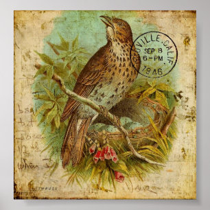 Poster Poussée vintage