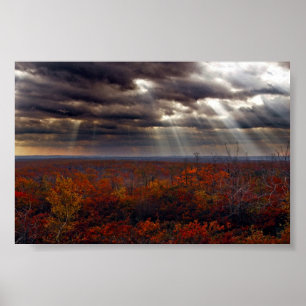 Poster Poutres claires dans les nuages à la forêt d'état 