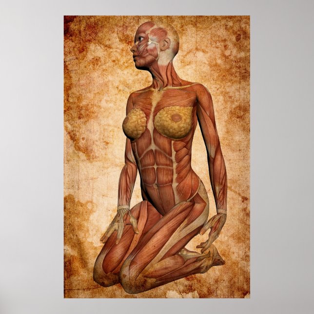 POSTER POUVOIR FÉMININ (Devant)
