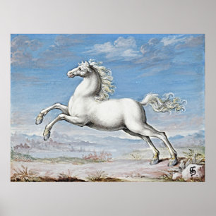Poster Pouvoir gracieux : Cheval Blanc - Oeuvre Rétro