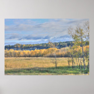 Poster Prairie aux peupliers trembles