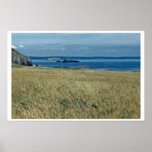 Poster Prairie de mer