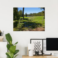 Prairie de Yosemite avec des étoiles filantes