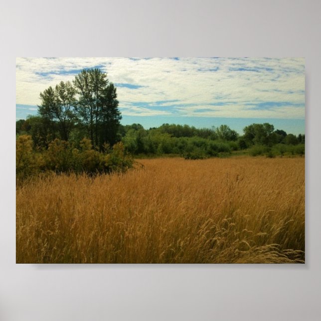Poster Prairie d'été (Devant)