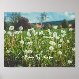 Poster Prairie d'été avec pissenlits