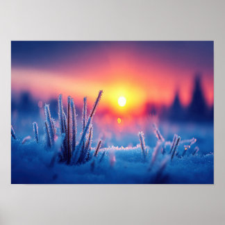 Poster Prairie hivernale gelée au lever du soleil