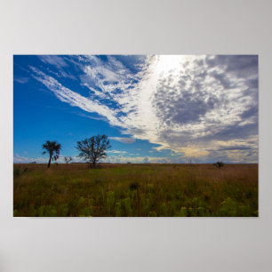 Poster Prairie, Kissimmee Prairie Preserve State Park, FL
